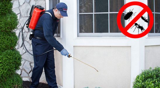 Çamoluk Akrep İlaçlama böcek ilaçlama ve haşere kontrolü — ilaclama-tr.com